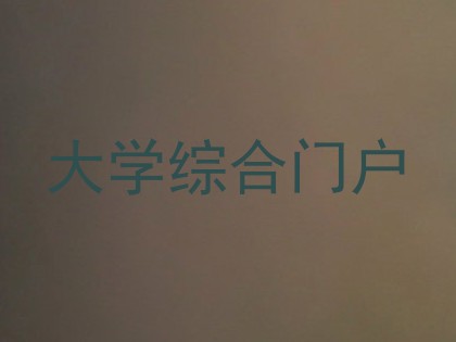 大学综合门户