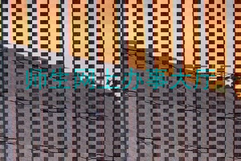 师生网上办事大厅