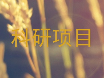 科研项目