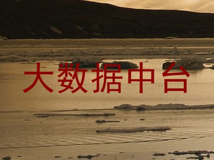 大数据中台