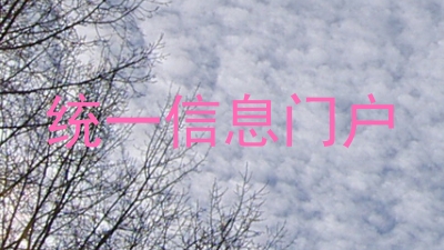 统一信息门户