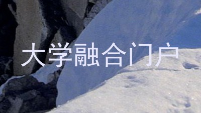 大学融合门户