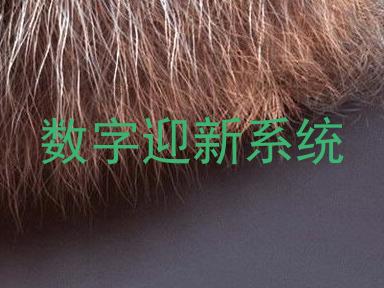 数字迎新系统