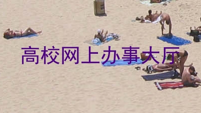 高校网上办事大厅