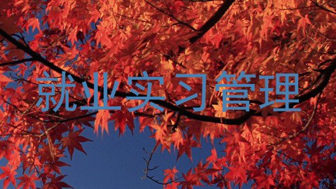 就业实习管理