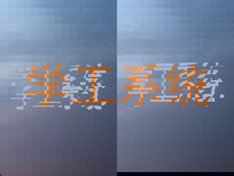 学工系统