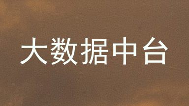 大数据中台