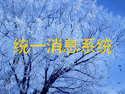 统一消息系统