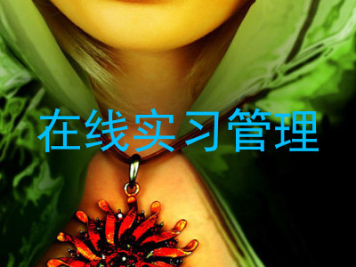在线实习管理