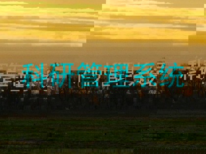 科研管理系统