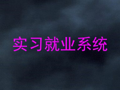 实习就业系统