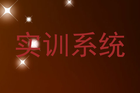 实训系统