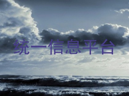 统一信息平台