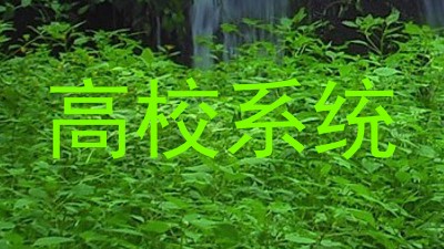 高校系统