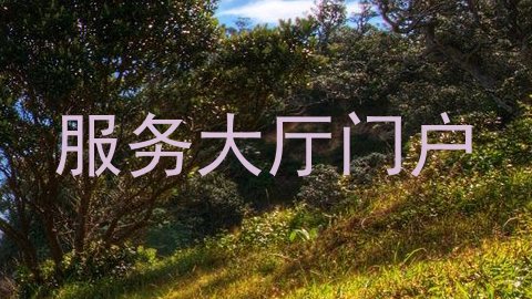 服务大厅门户