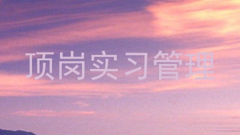 顶岗实习管理