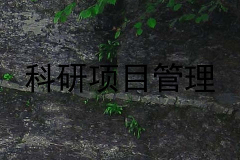 科研项目管理