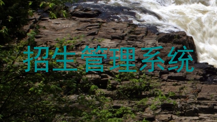 招生管理系统