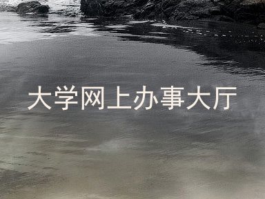 大学网上办事大厅