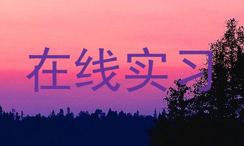 在线实习