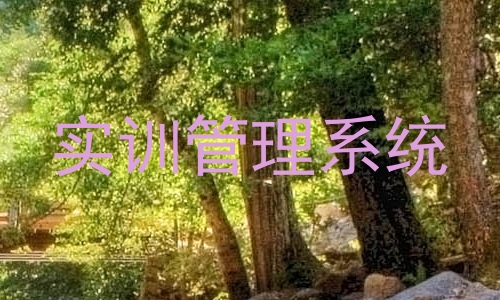 实训管理系统