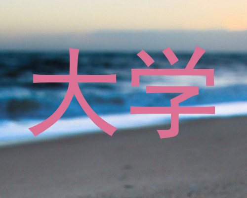 大学