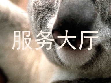 服务大厅