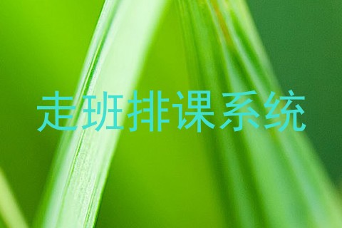 走班排课系统