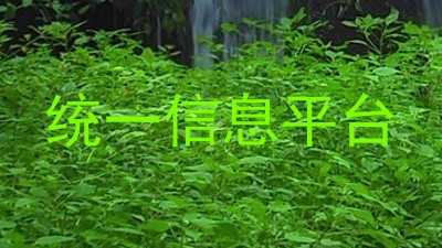 统一信息平台