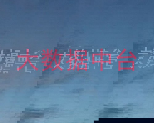 大数据中台