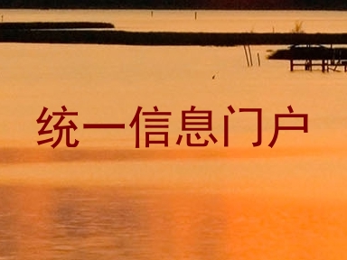 统一信息门户