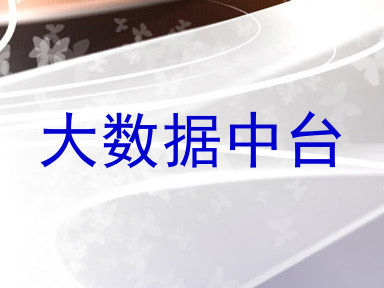 大数据中台
