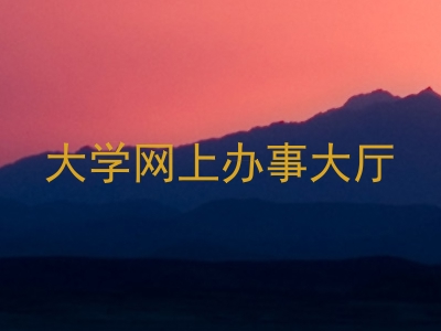 大学网上办事大厅