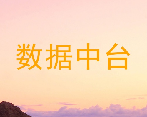 数据中台