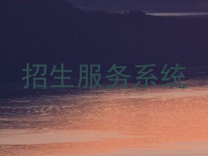 招生服务系统