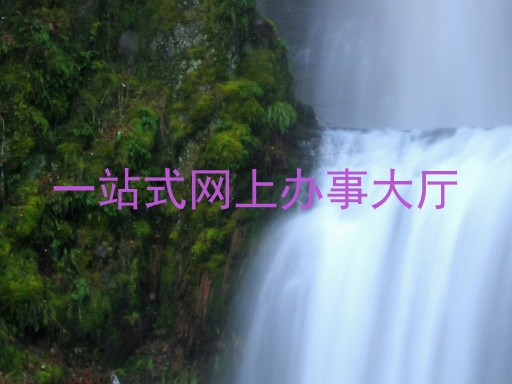 一站式网上办事大厅