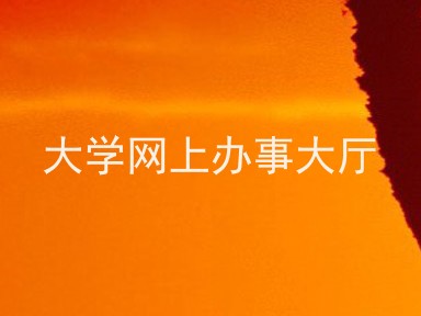 大学网上办事大厅