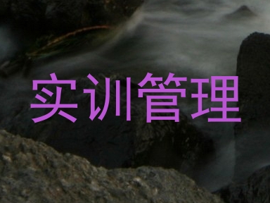 实训管理