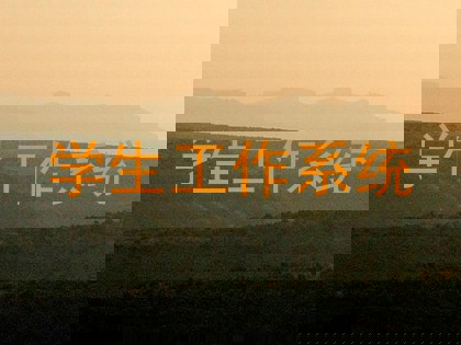 学生工作系统