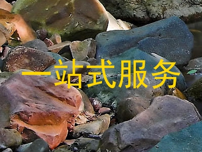 一站式服务