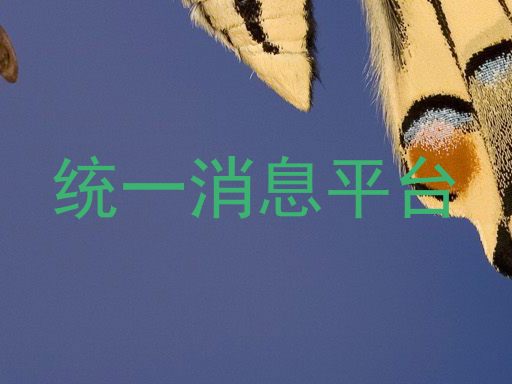 统一消息平台