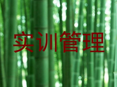 实训管理