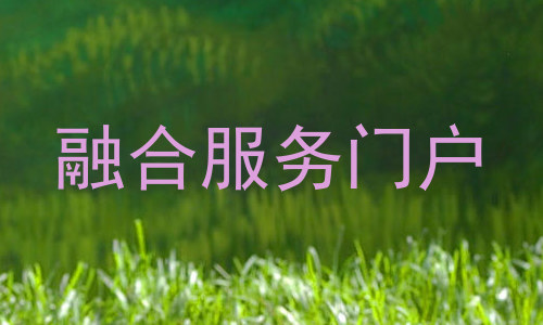 融合服务门户