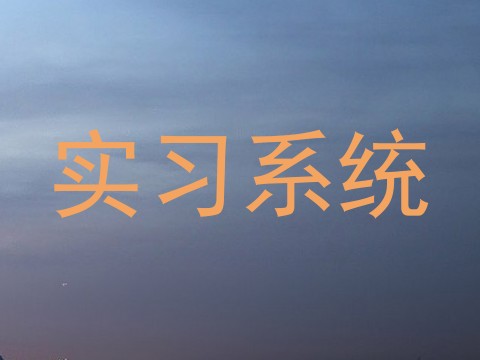 实习系统