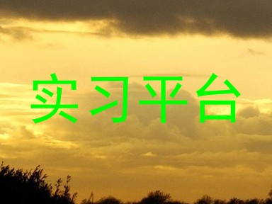 实习平台