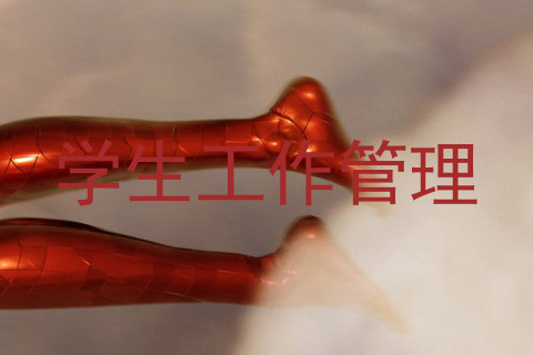 学生工作管理