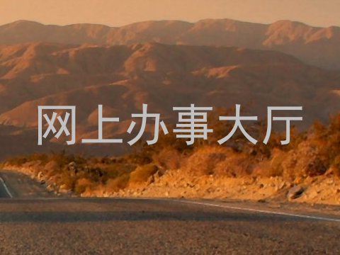 网上办事大厅