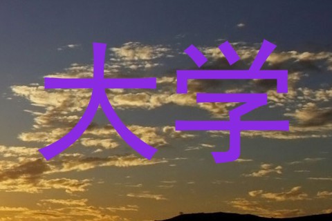 大学