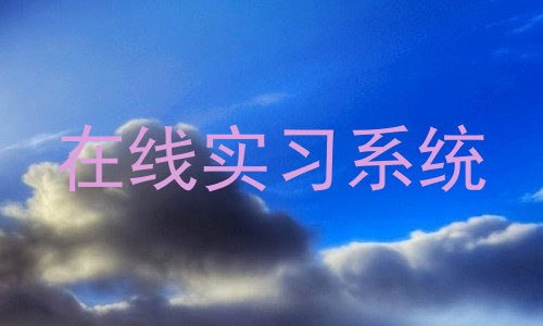 在线实习系统