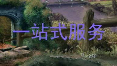 一站式服务